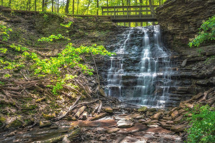 14 Top-Rated Things to Do in Hamilton, Ontario