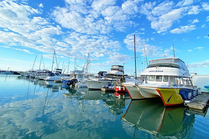 14 Top-Rated Things to Do in Hervey Bay