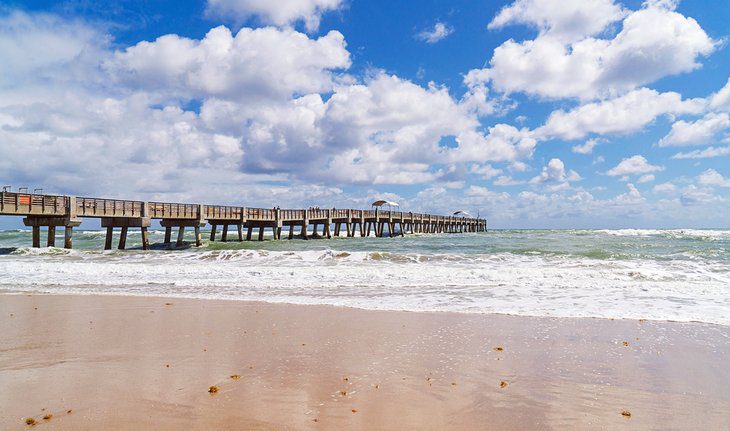14 Top-Rated Things to Do in Lake Worth Beach, FL