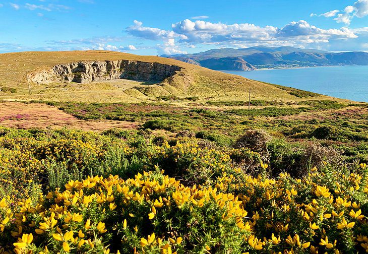 14 Top-Rated Things to Do in Llandudno