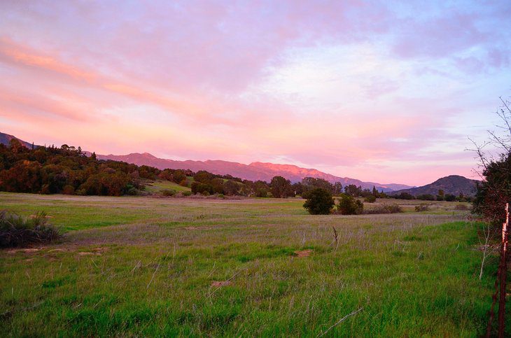 14 Top-Rated Things to Do in Ojai, CA