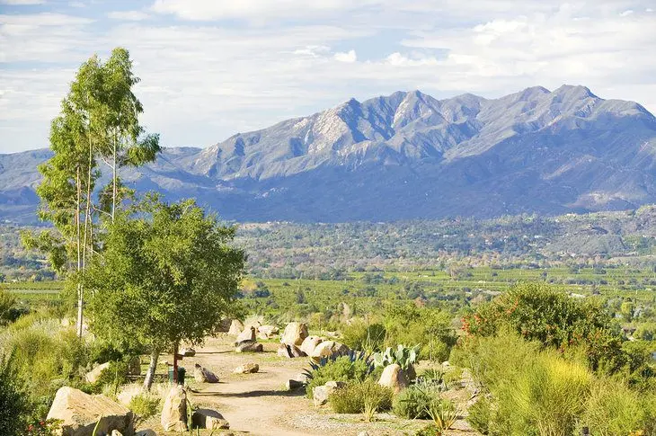 14 Top-Rated Things to Do in Ojai, CA