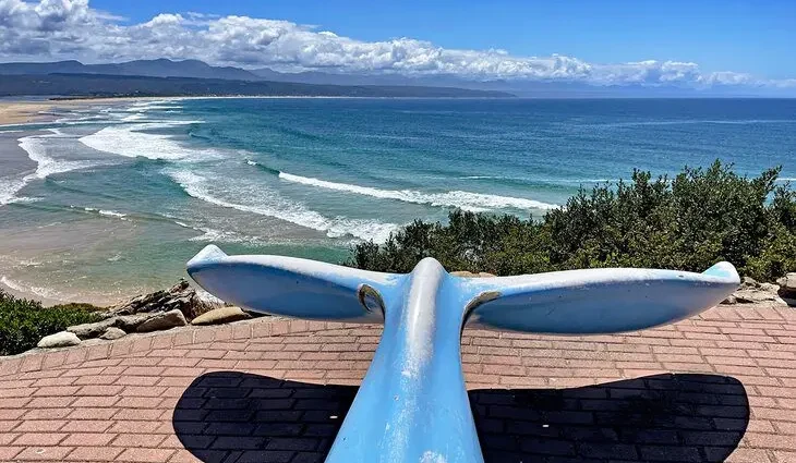 14 Top-Rated Things to Do in Plettenberg Bay, South Africa