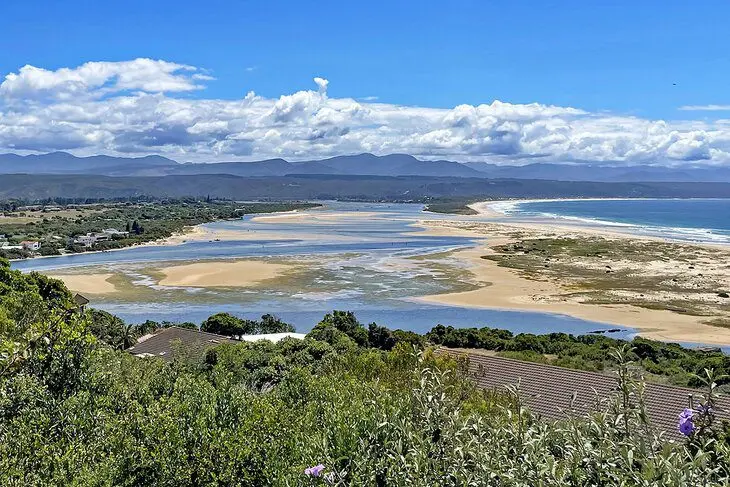 14 Top-Rated Things to Do in Plettenberg Bay, South Africa