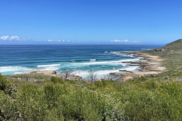 14 Top-Rated Things to Do in Plettenberg Bay, South Africa