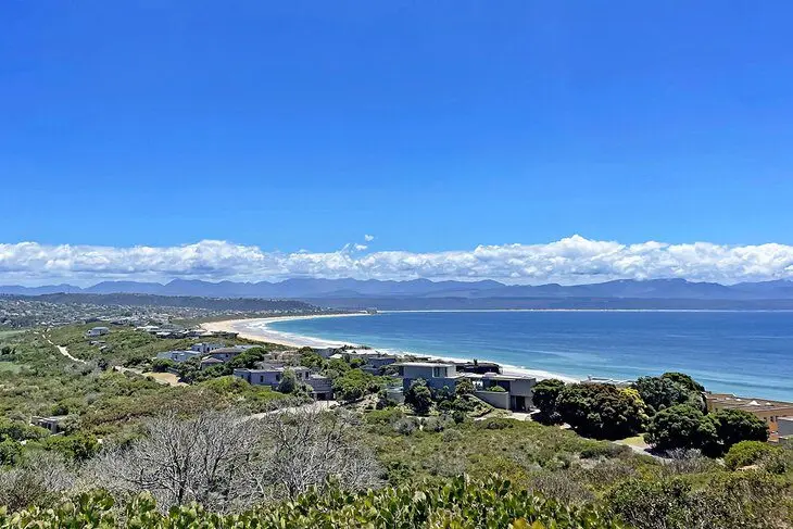 14 Top-Rated Things to Do in Plettenberg Bay, South Africa