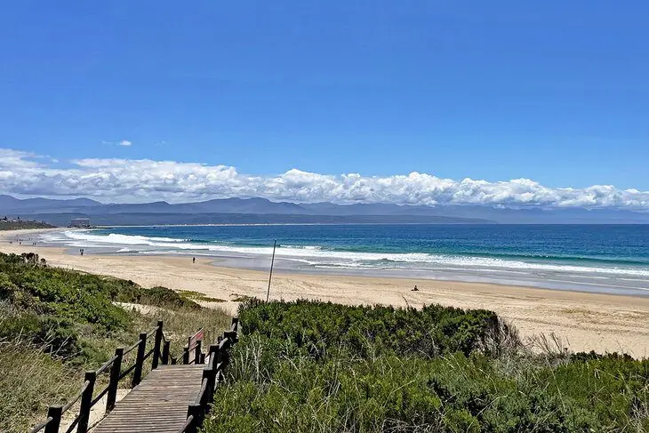 14 Top-Rated Things to Do in Plettenberg Bay, South Africa