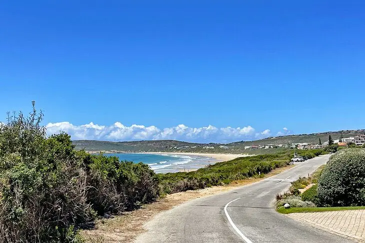 14 Top-Rated Things to Do in Plettenberg Bay, South Africa