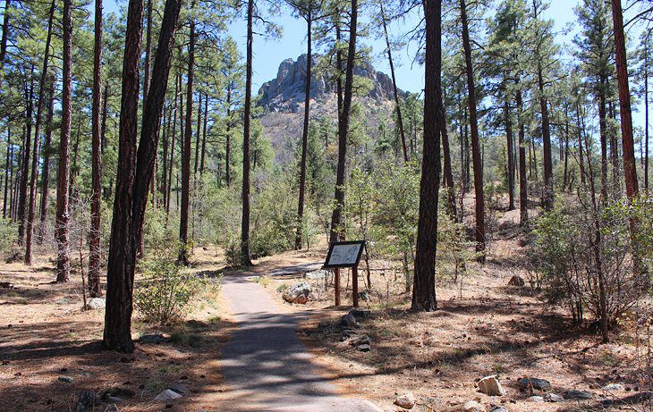 14 Top-Rated Things to Do in Prescott, AZ