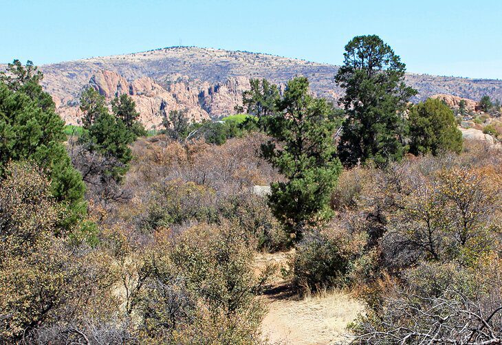 14 Top-Rated Things to Do in Prescott, AZ