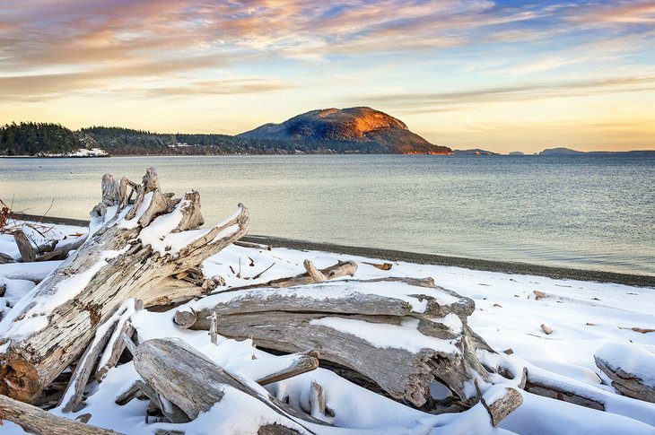 14 Top-Rated Things to Do in Seattle in Winter