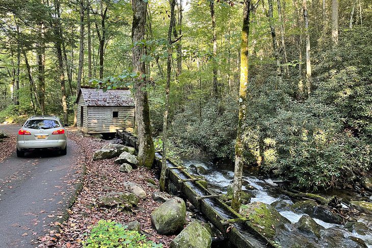 14 Top-Rated Things to Do in Tennessee