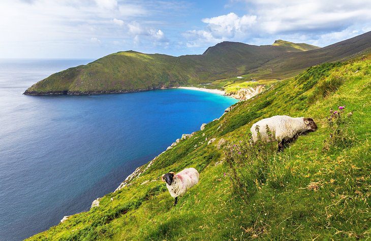 14 Top-Rated Things to Do in Westport, Ireland