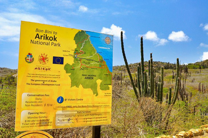 14 Top-Rated Tourist Attractions in Aruba