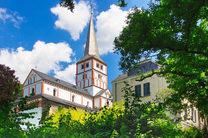 14 Top-Rated Tourist Attractions in Bonn