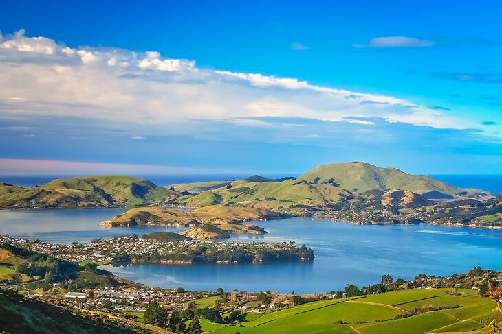 14 Top-Rated Tourist Attractions in Dunedin