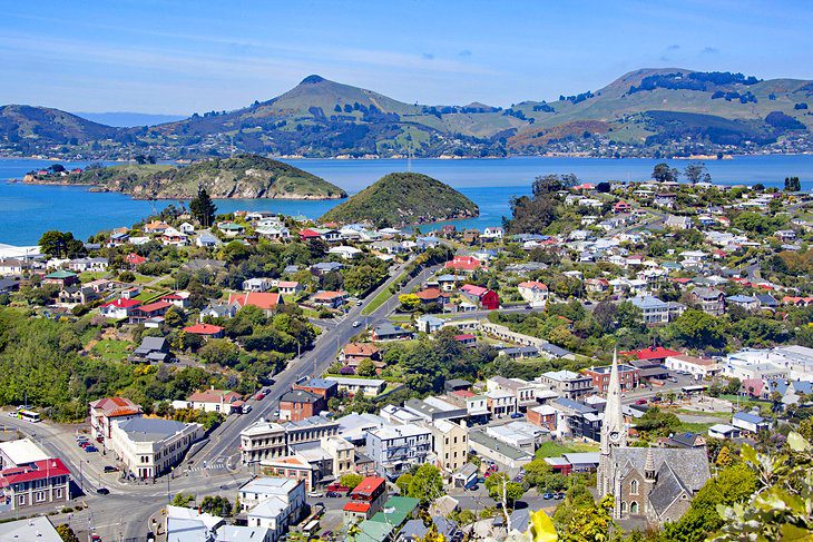 14 Top-Rated Tourist Attractions in Dunedin