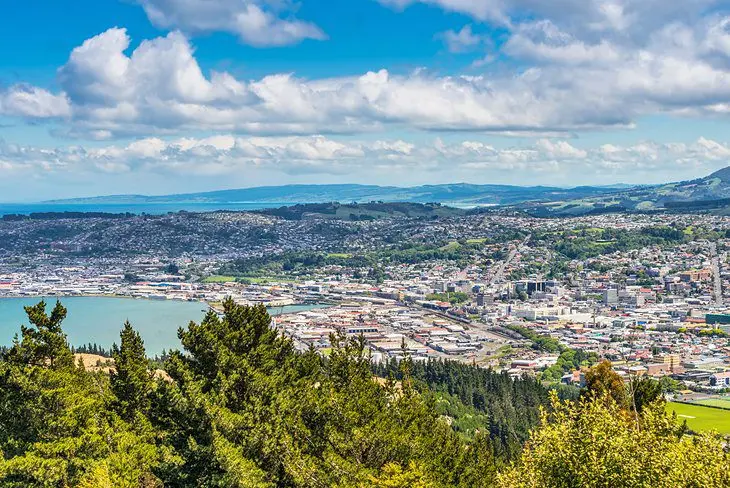 14 Top-Rated Tourist Attractions in Dunedin