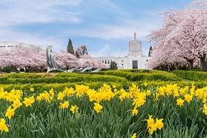 14 Top-Rated Tourist Attractions in Eugene, OR