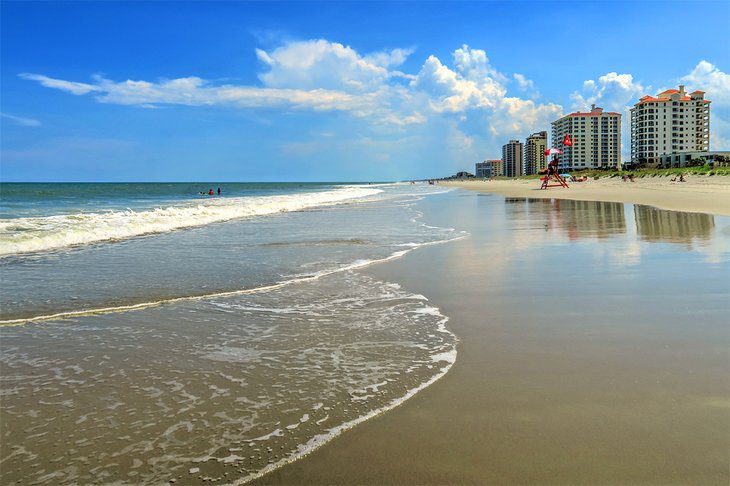 14 Top-Rated Tourist Attractions in Jacksonville, FL