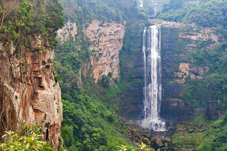 14 Top-Rated Tourist Attractions in KwaZulu-Natal