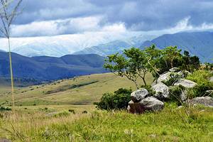 14 Top-Rated Tourist Attractions in KwaZulu-Natal