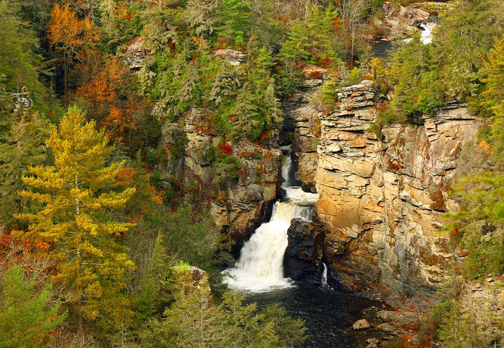 14 Top-Rated Tourist Attractions in North Carolina