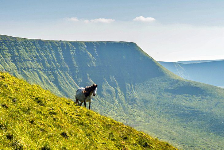 14 Top-Rated Tourist Attractions in South Wales, UK