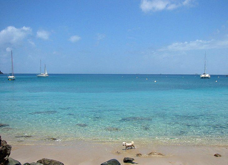 14 Top-Rated Tourist Attractions in St. Barts