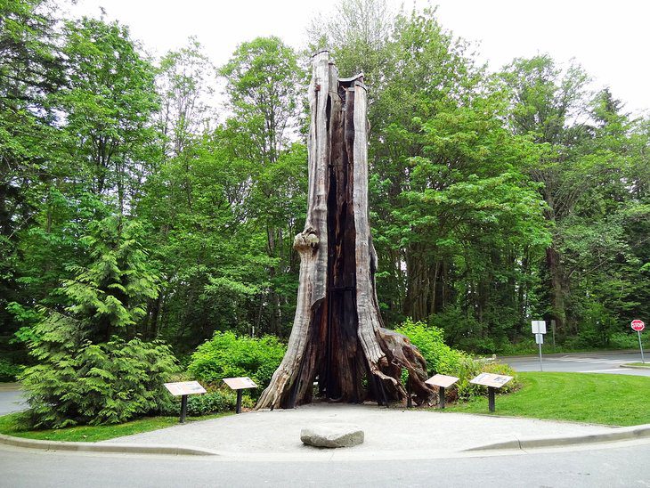 14 Top-Rated Tourist Attractions in Stanley Park