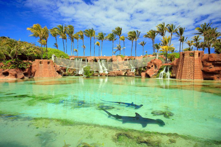 14 Top-Rated Tourist Attractions in the Bahamas