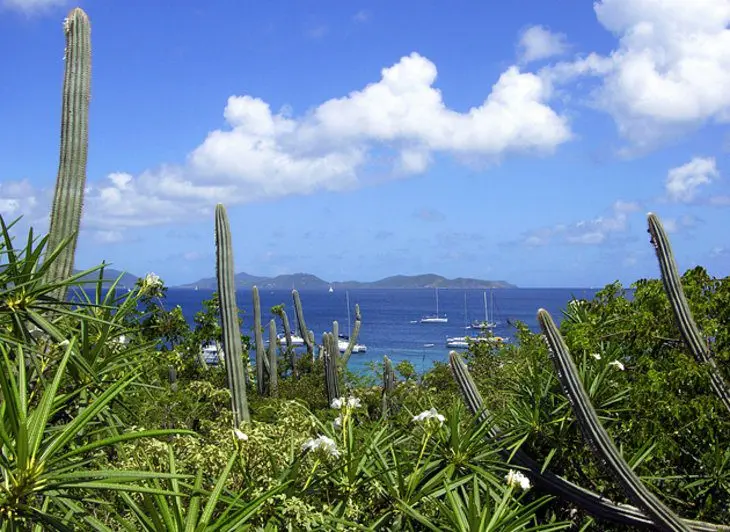 14 Top-Rated Tourist Attractions in the British Virgin Islands