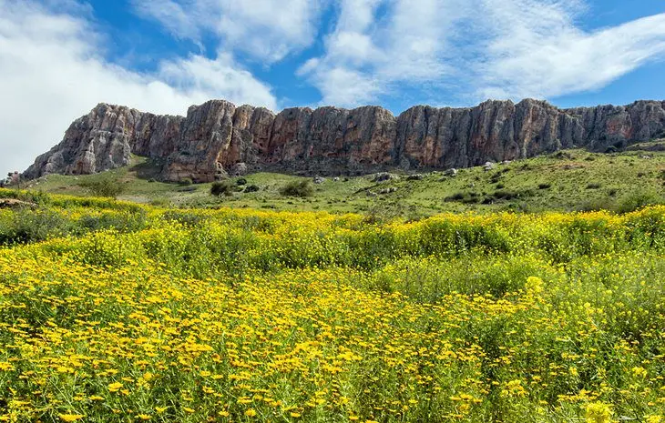 14 Top-Rated Tourist Attractions in the Sea of Galilee Region