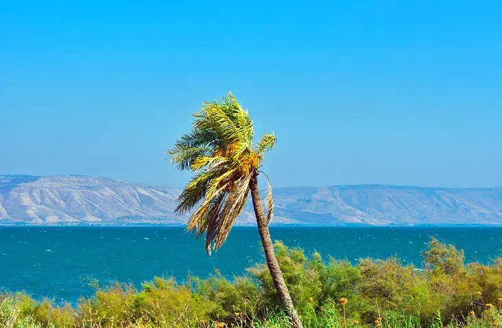 14 Top-Rated Tourist Attractions in the Sea of Galilee Region