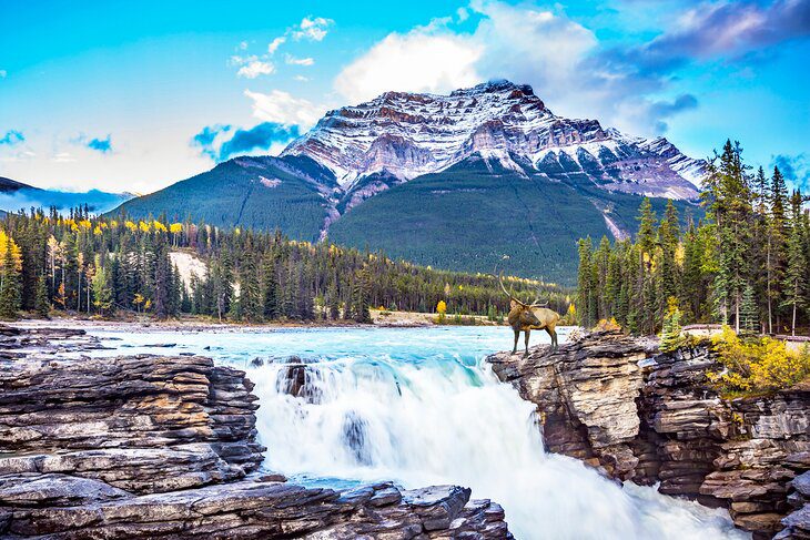 14 Top-Rated Waterfalls in Canada