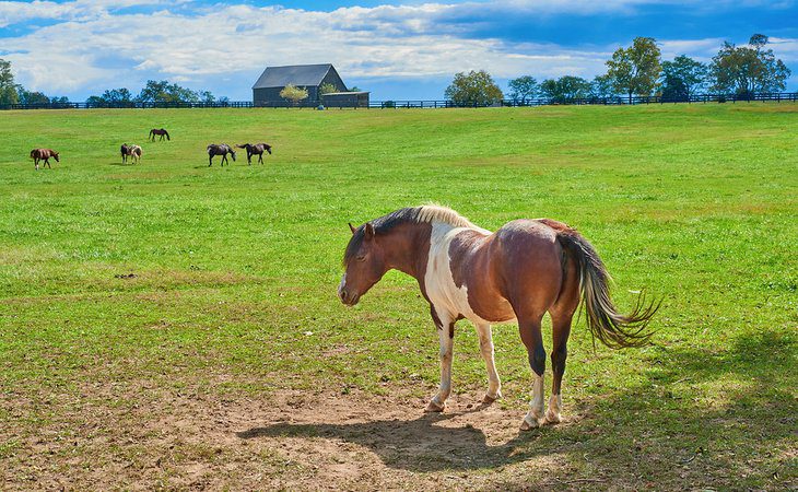 14 Top-Rated Weekend Getaways in Kentucky