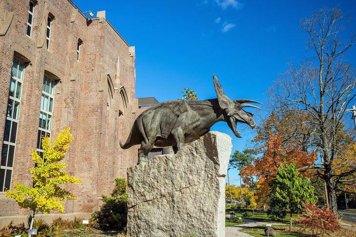 15 Best Attractions & Things to Do in New Haven, CT