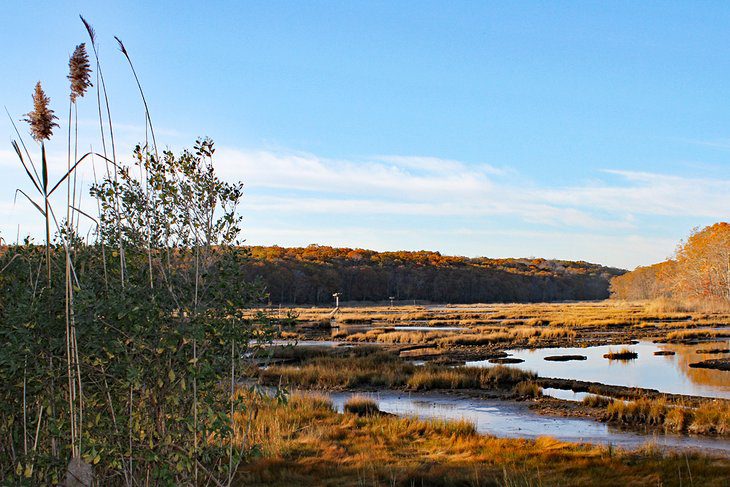 15 Best Beach Towns in Connecticut