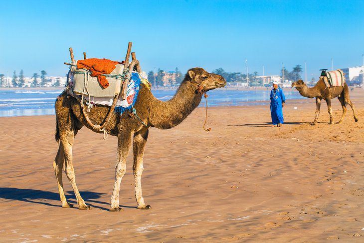 15 Best Beaches in Morocco