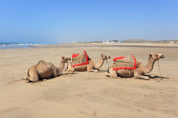 15 Best Beaches in Morocco