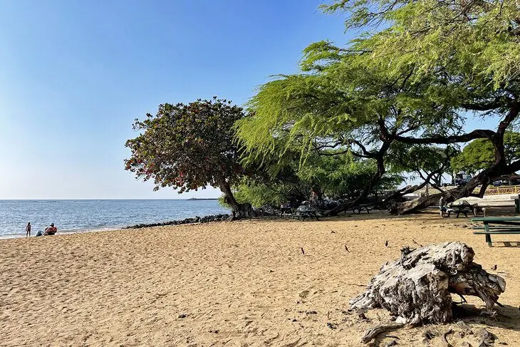 15 Best Beaches on the Big Island of Hawaii, HI