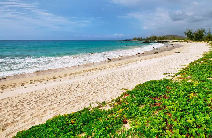 15 Best Beaches on the Big Island of Hawaii, HI