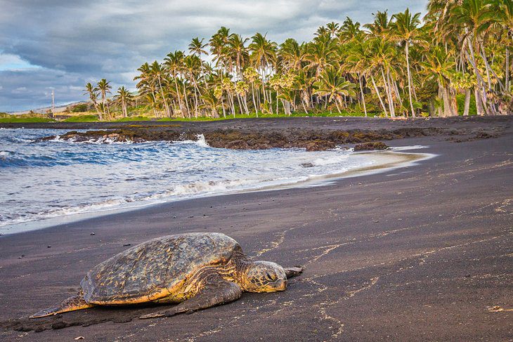 15 Best Beaches on the Big Island of Hawaii, HI