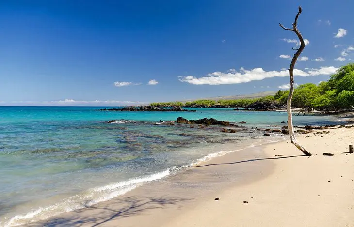 15 Best Beaches on the Big Island of Hawaii, HI