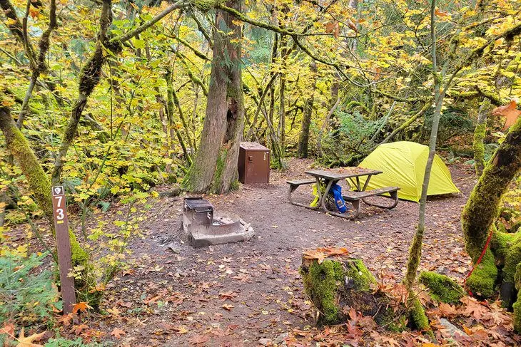 15 Best Campgrounds in Washington State