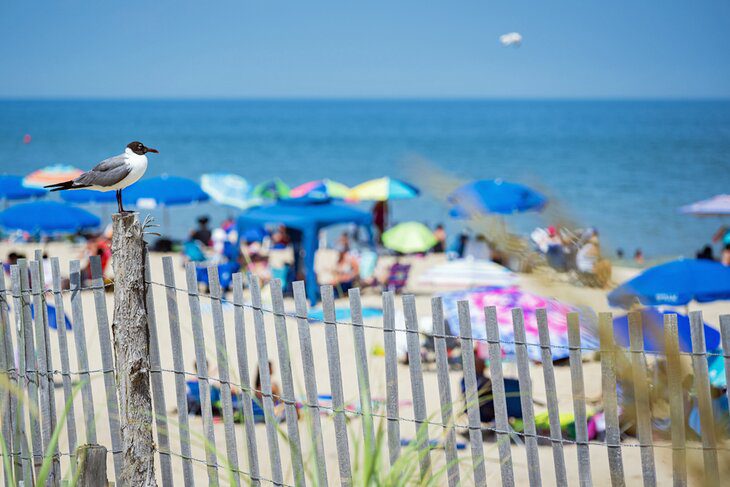 15 Best Cheap Beach Vacation Spots in the USA