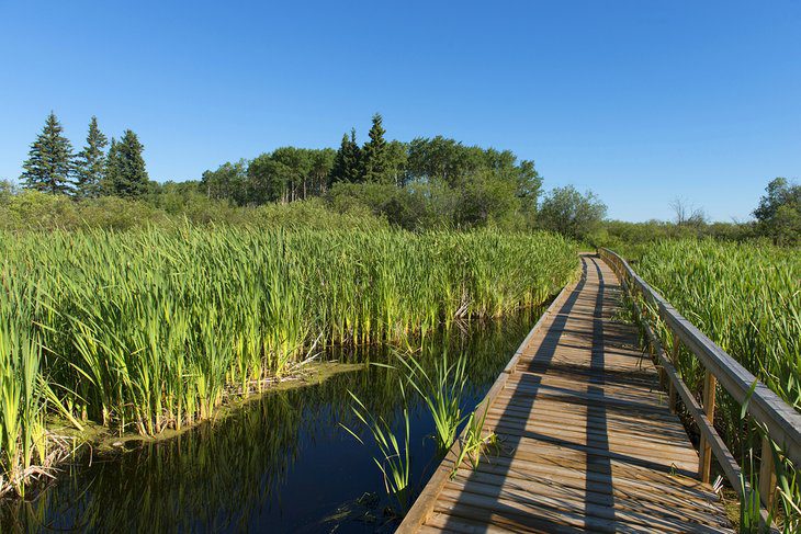 15 Best Hikes in Canada