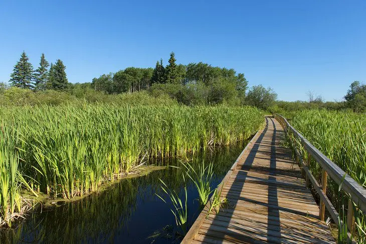 15 Best Hikes in Canada