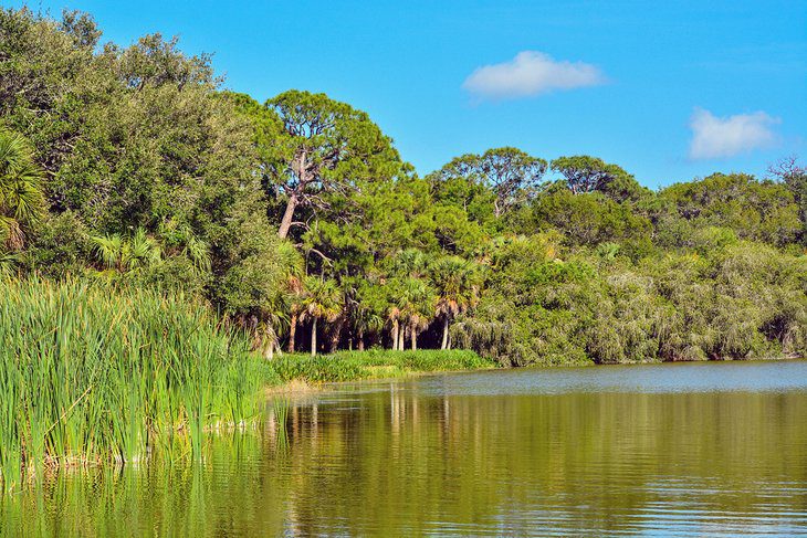 15 Best Lakes in Florida