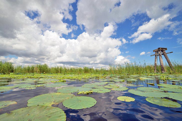 15 Best Lakes in Florida